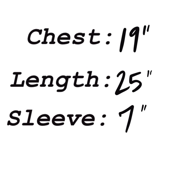 NFL Team Apparel Philadelphia Eagles V-Neck T-Shirt Size Women's L - Picture 6 of 6